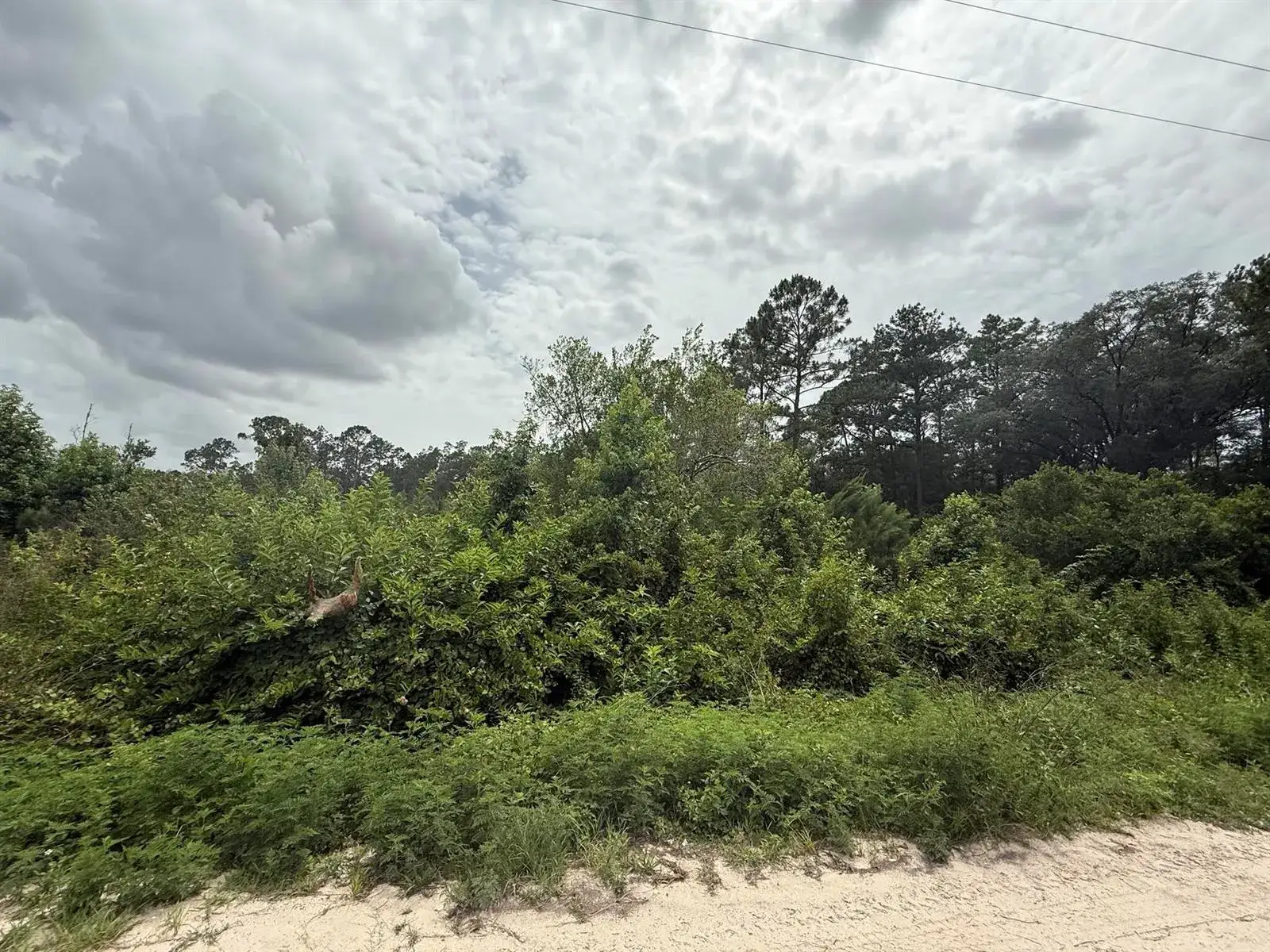 Commercial Land for sale at 129 Fishermans Drive, FL 32148