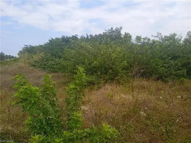 Land/Boat Docks for sale at 3418 SW 11th Street, Lehigh Acres FL 33976