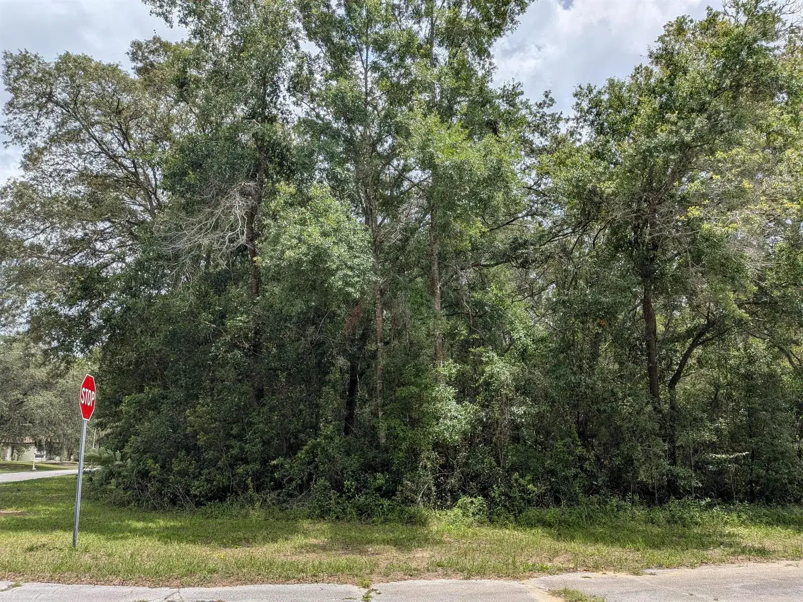 Land/Boat Docks for sale at 8989 N Conch Terrace, FL 34434