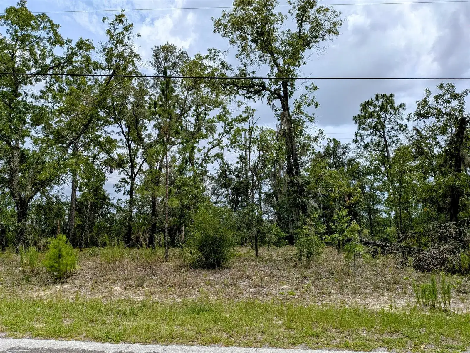 Land/Boat Docks for sale at 2450 W Rutland Drive, FL 34434