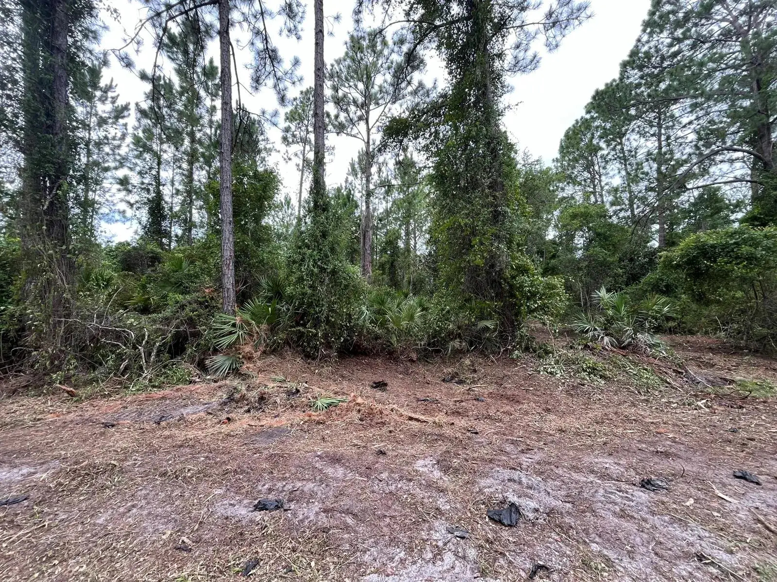 Land/Boat Docks for sale at 147 Roebuck Street, FL 32139