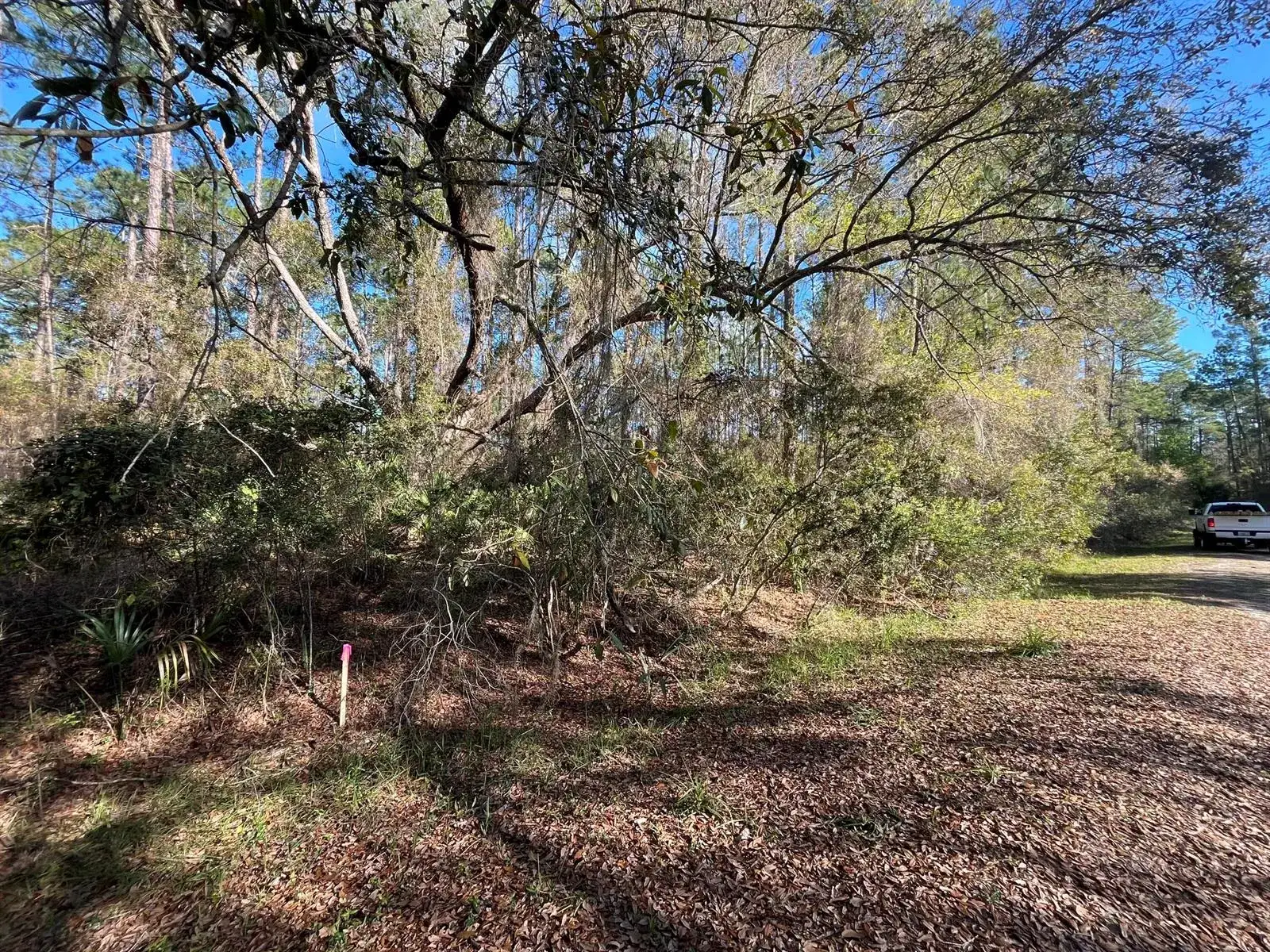 Land/Boat Docks for sale at 104 SE 5th Street, FL 32139
