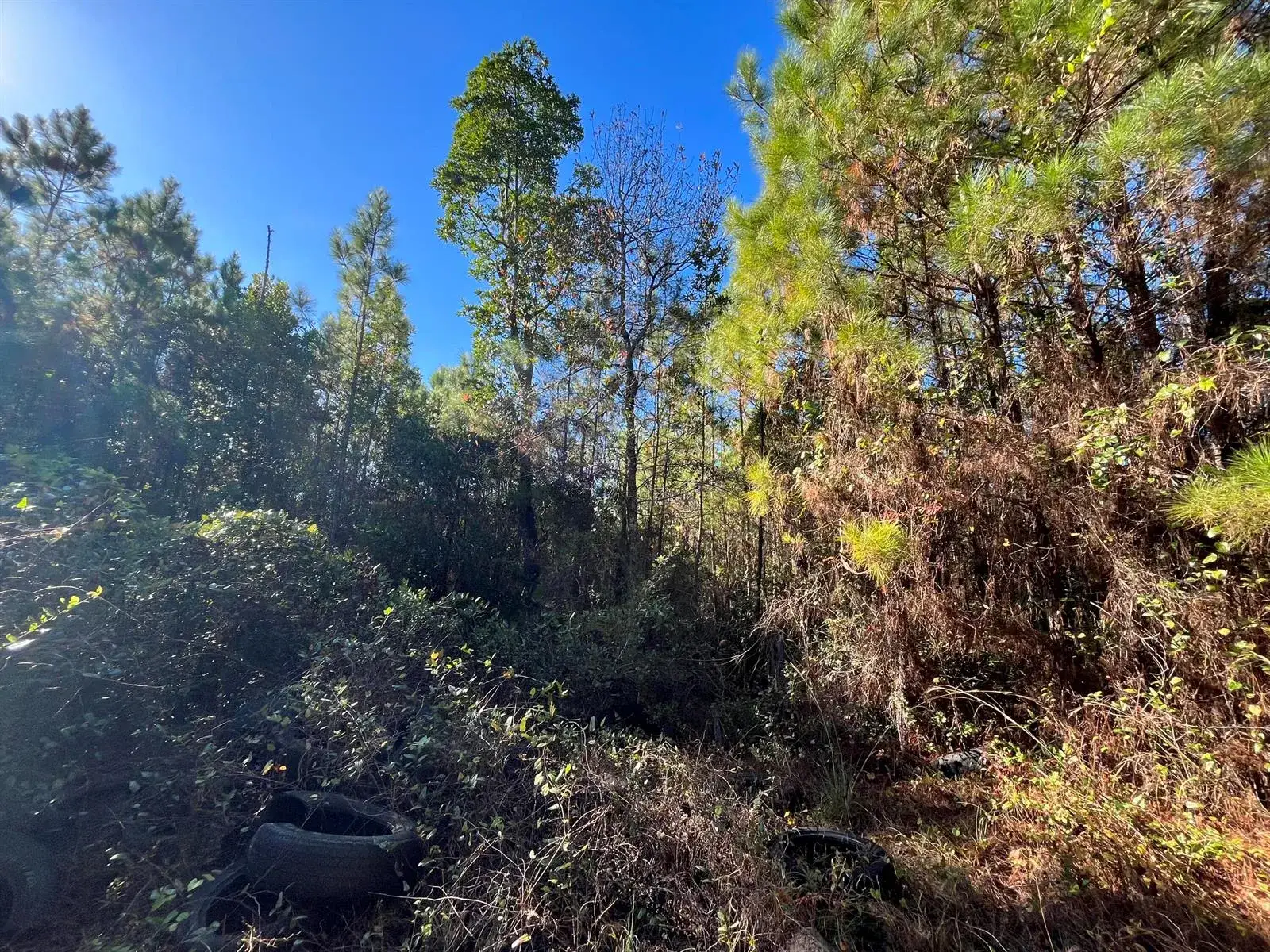 Land/Boat Docks for sale at 223 Mourning Dove Road, FL 32189