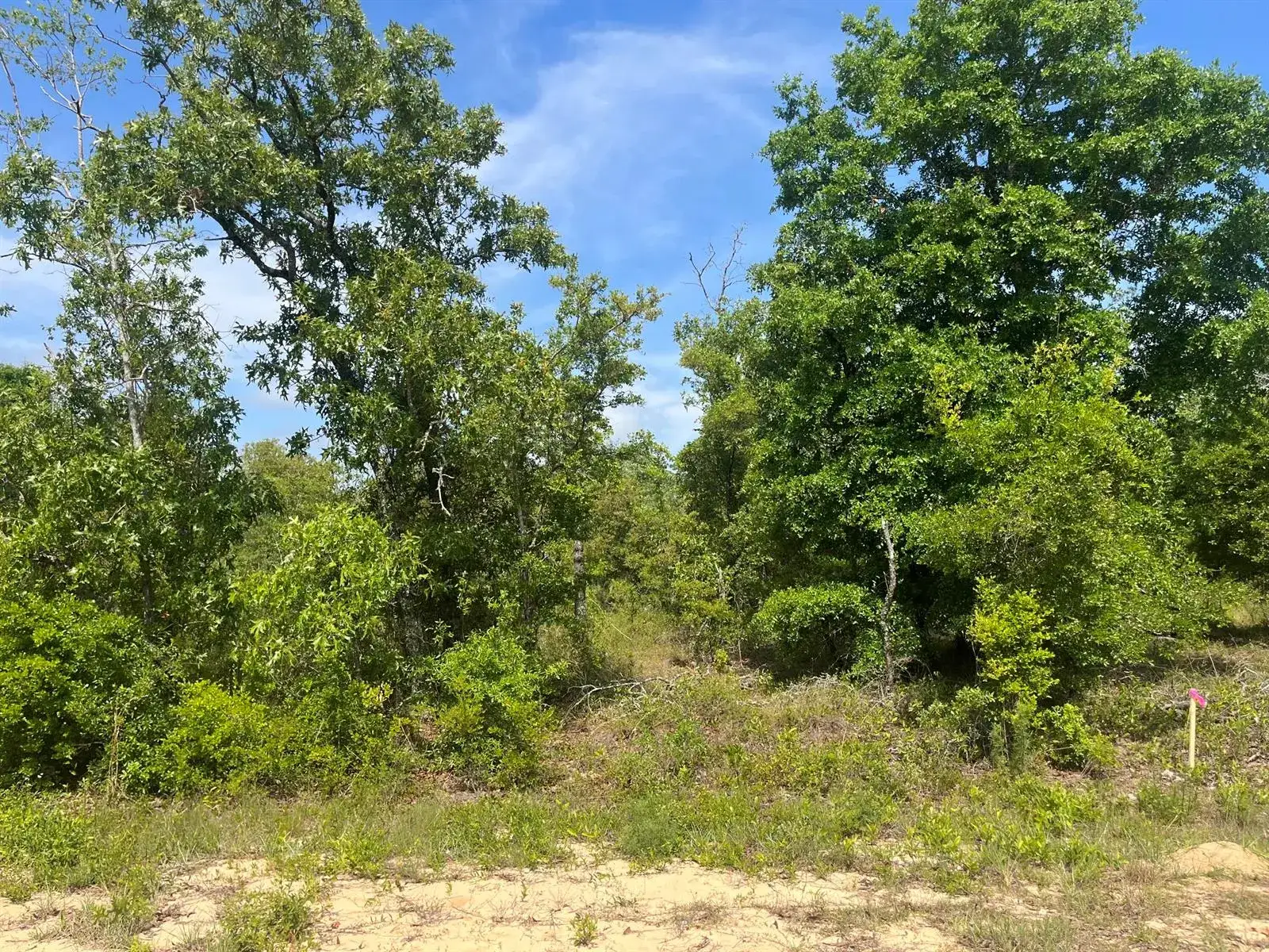 Land/Boat Docks for sale at Tbd Rome Avenue, FL 32420