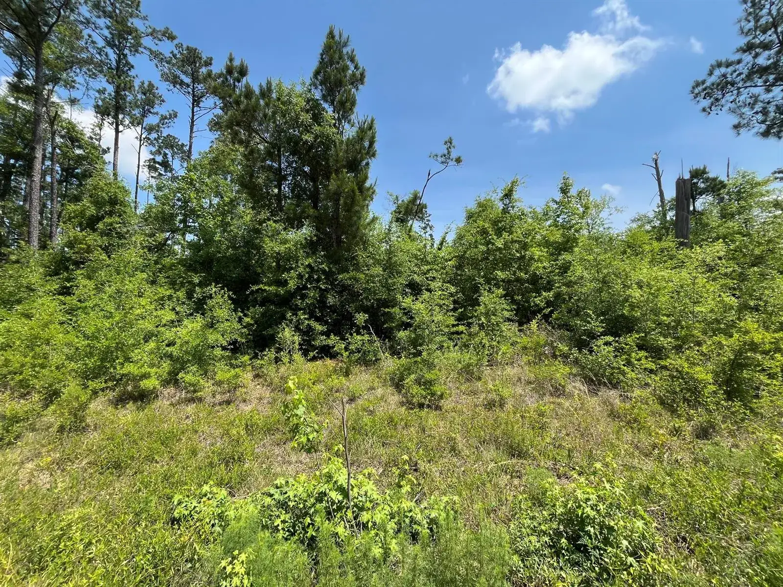 Land/Boat Docks for sale at Tbd Grand Quiviera Circle, FL 32420