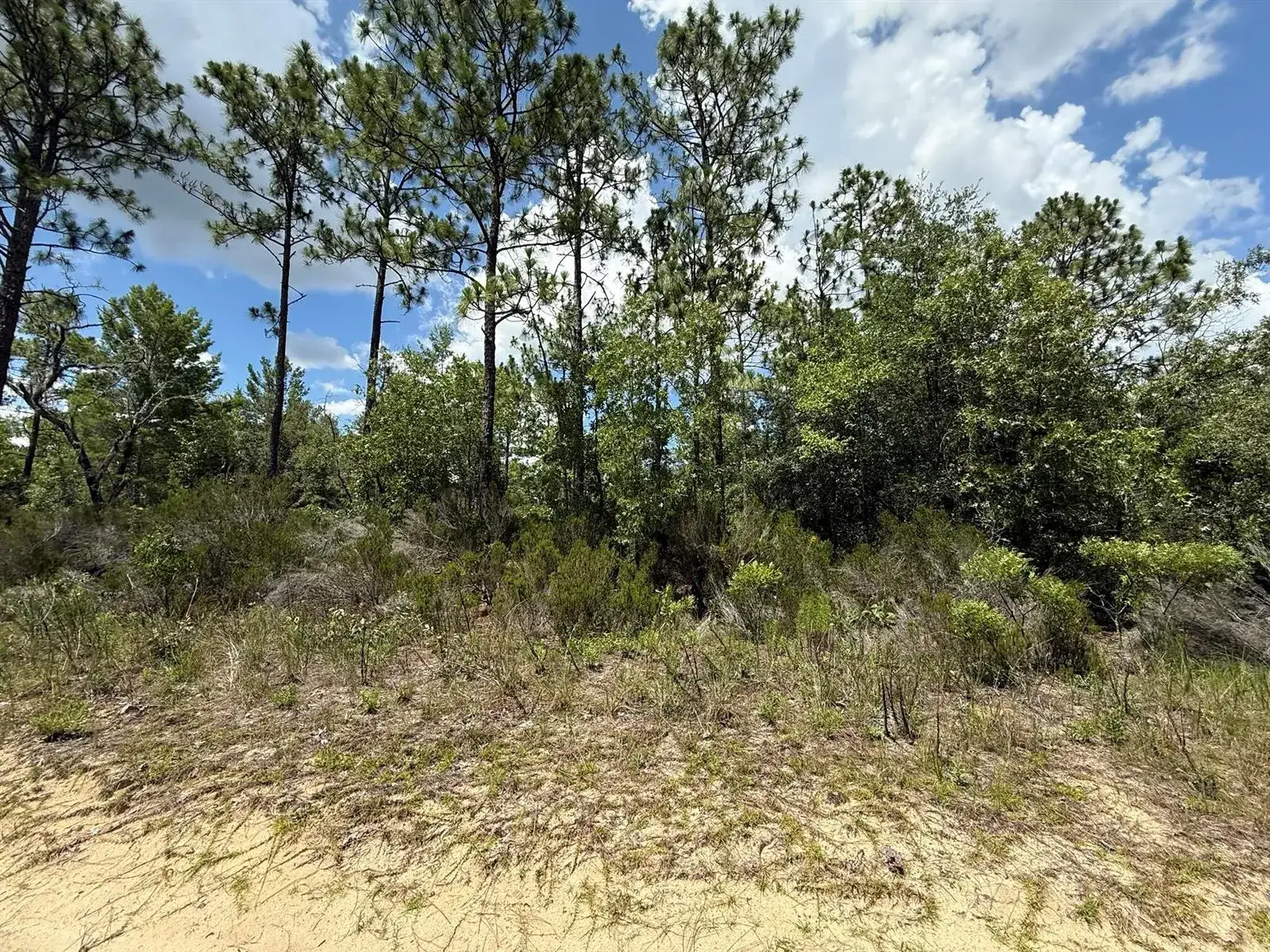 Land/Boat Docks for sale at 187 Paris Street, FL 32148