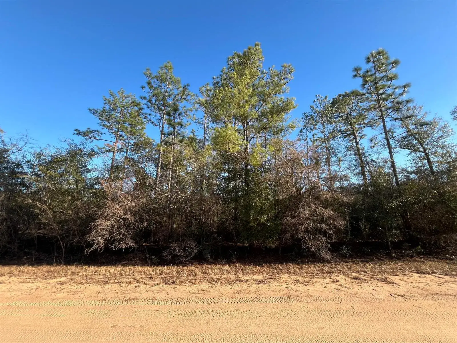 Land/Boat Docks for sale at Tbd Goreville, FL 32420