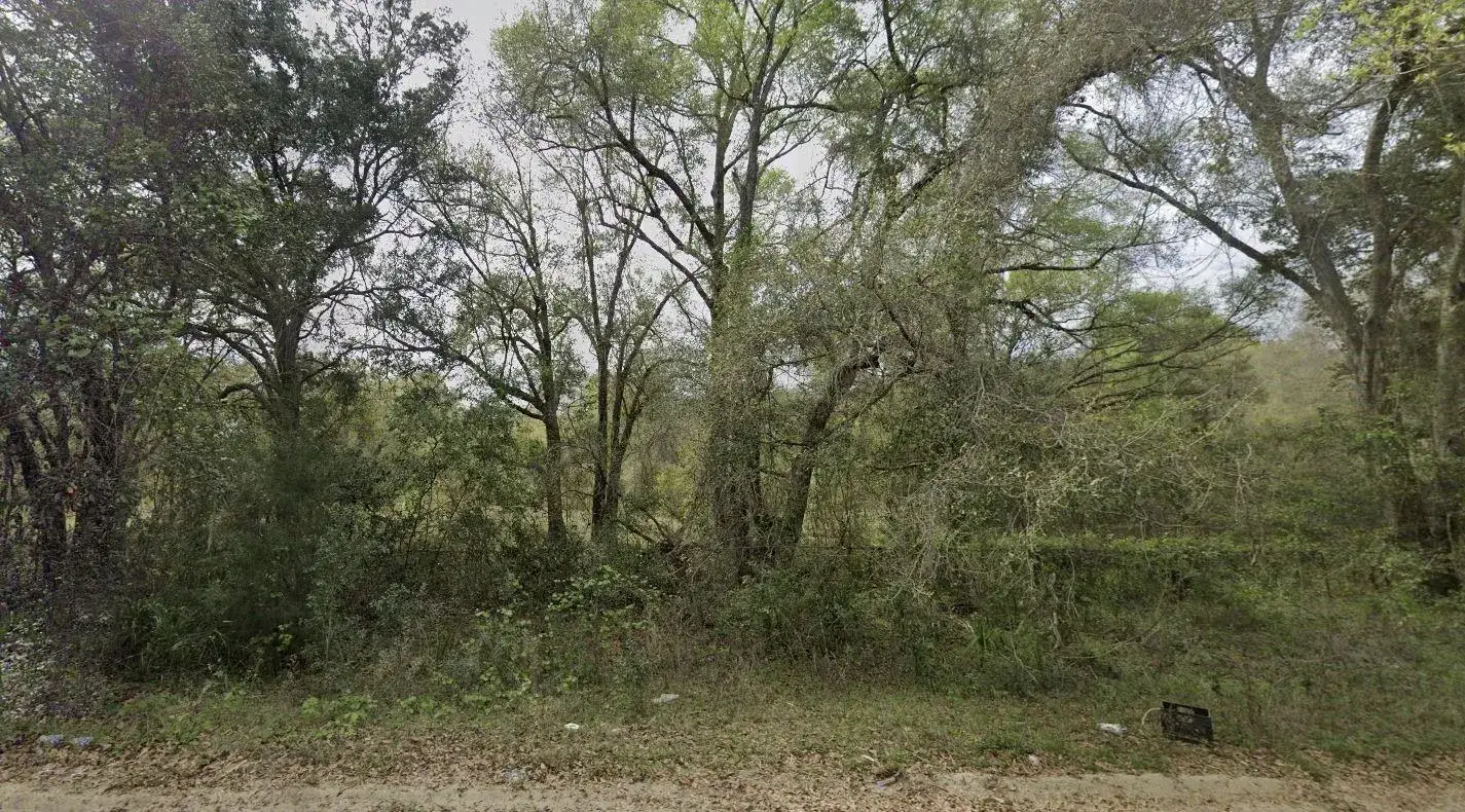 Land/Boat Docks for sale at 305 Milton Avenue, FL 32148