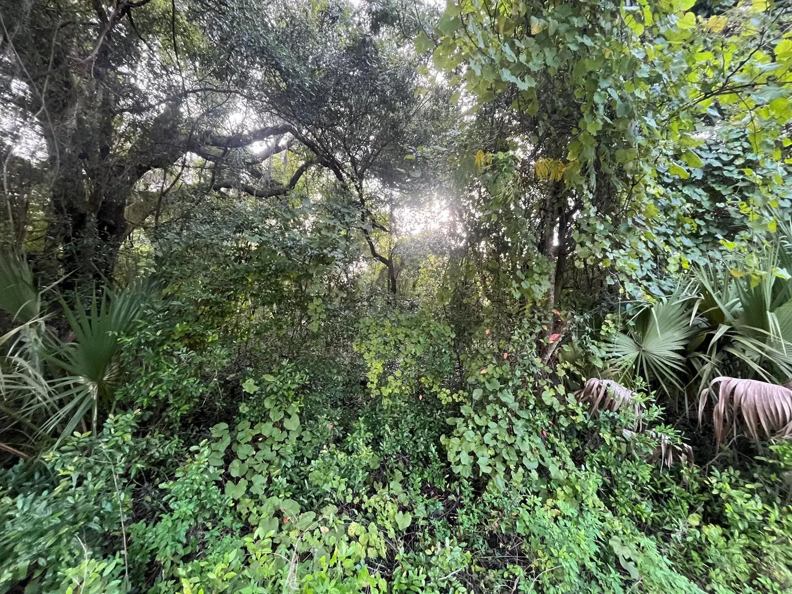 Land/Boat Docks for sale at 915 Annette Avenue, FL 32148
