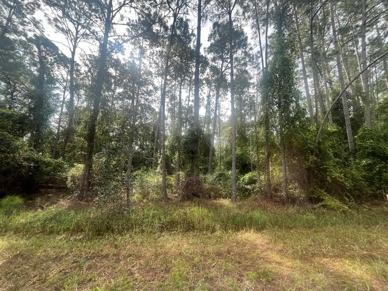Land/Boat Docks for sale at 223 SE 2nd Street, FL 32139