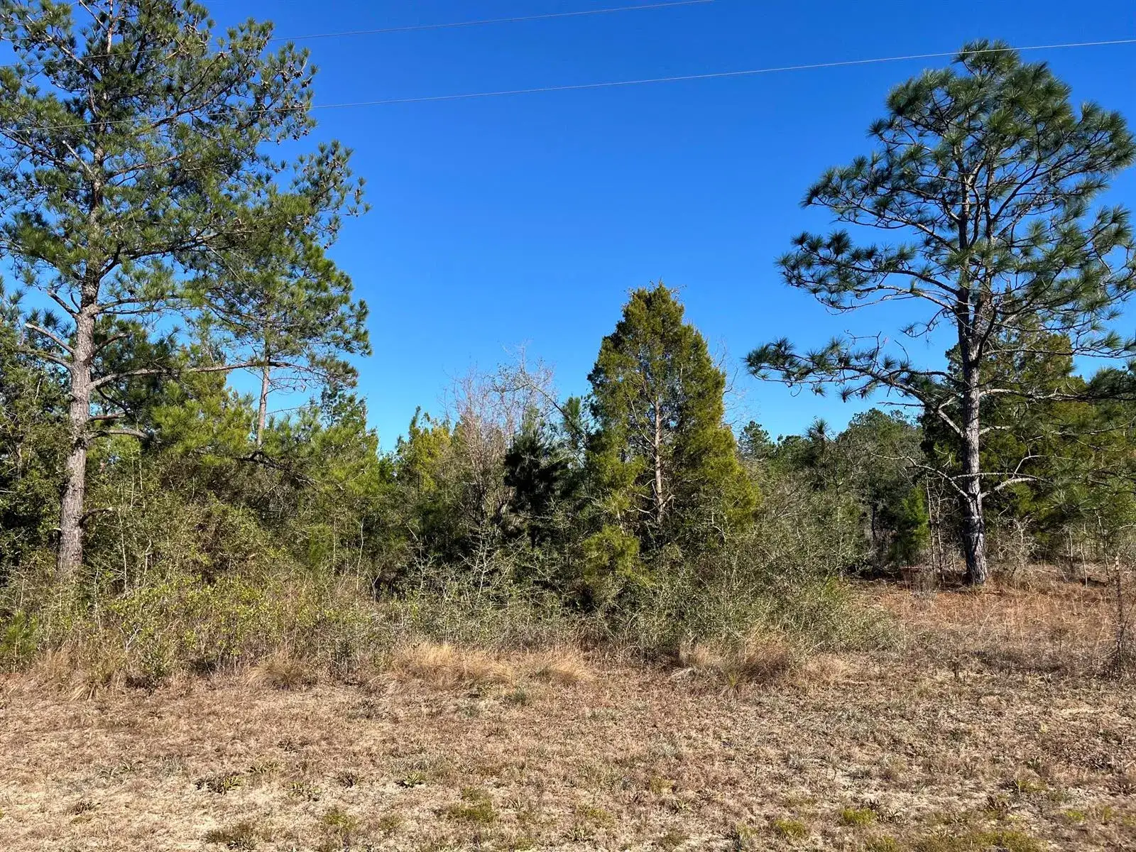 Land/Boat Docks for sale at Tbd Fairview Road, FL 32448