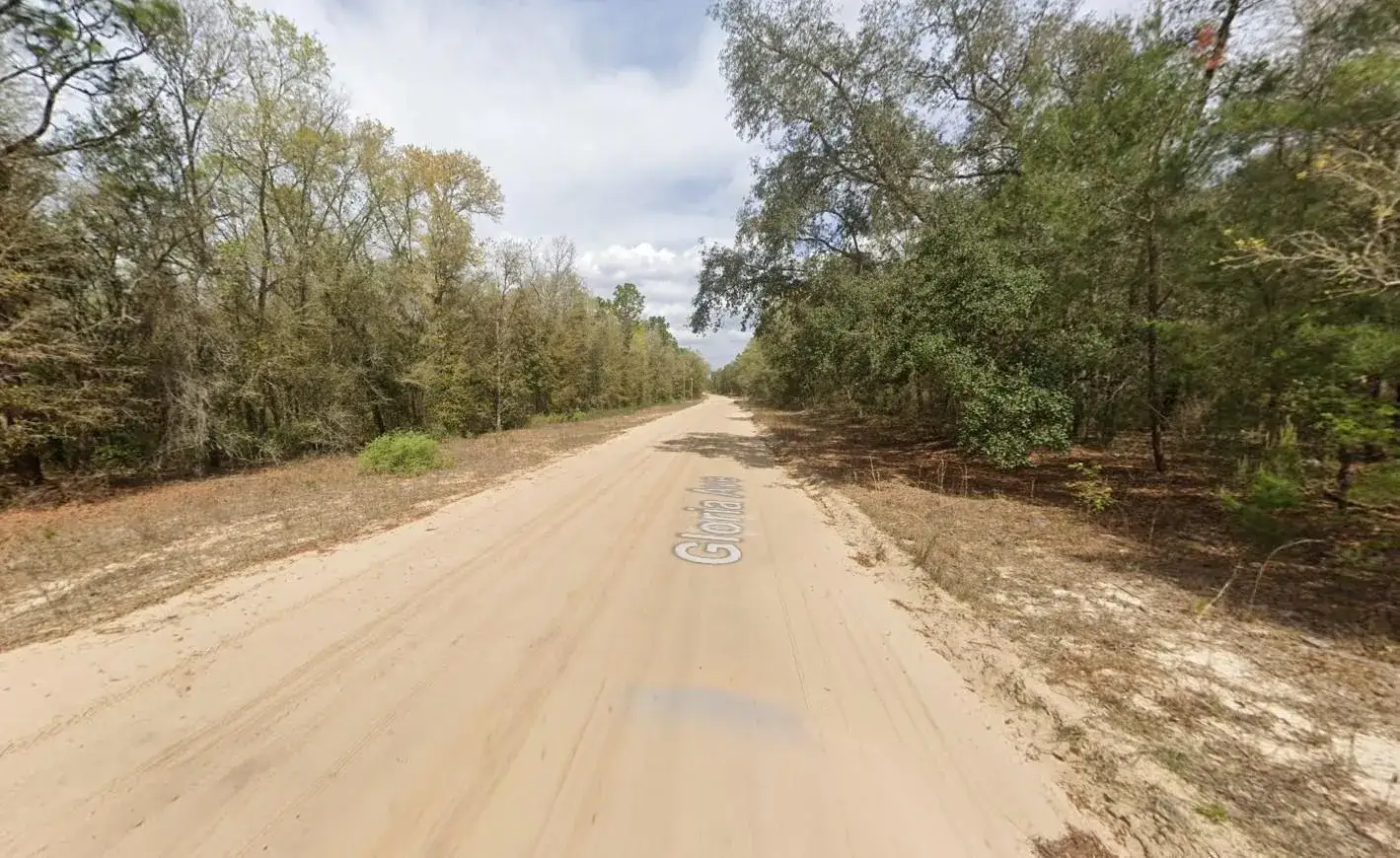 Land/Boat Docks for sale at 523 Gloria Avenue, FL 32148