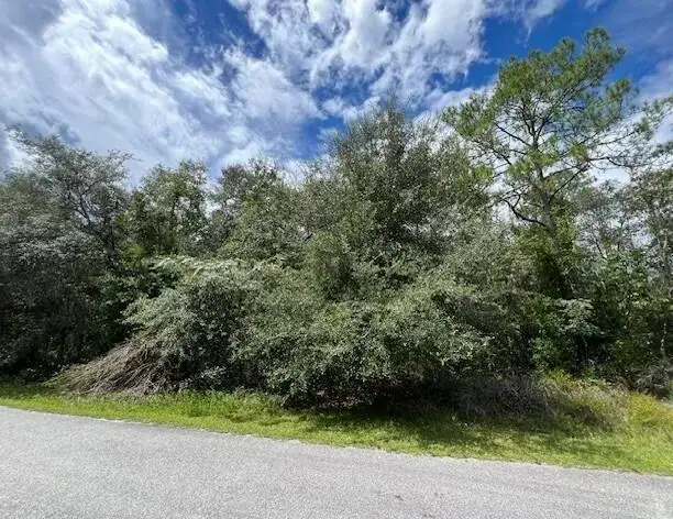 Land/Boat Docks for sale at 6252 N Cavalier Terrace, FL 34433