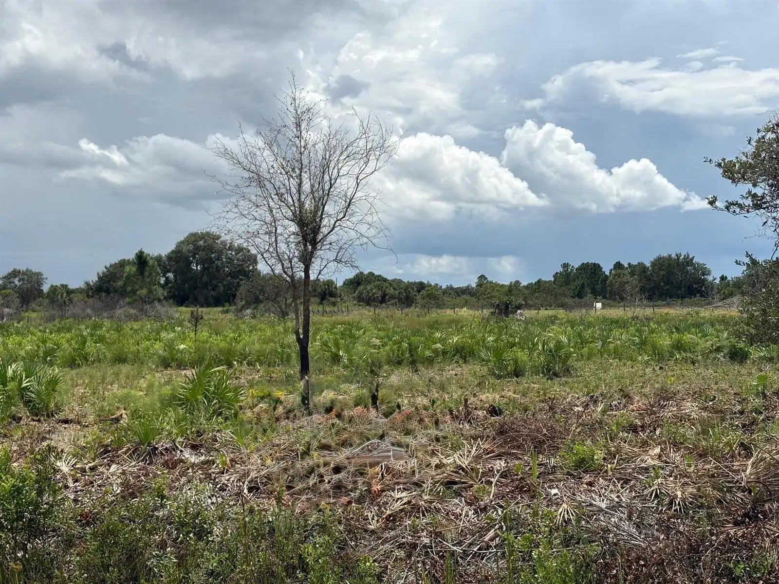 17982 NW 318th Street, Okeechobee FL 34972