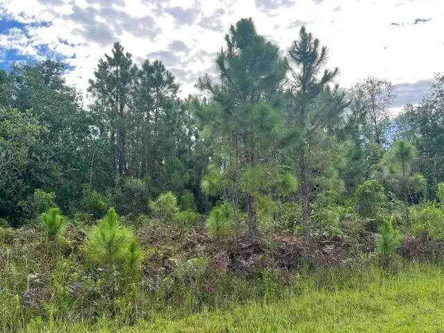 Land/Boat Docks for sale at 1131 Greenfield Street, Lake Placid FL 33852