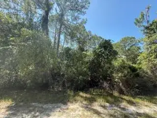 Land/Boat Docks for sale at 337 Palm Way, FL 32139
