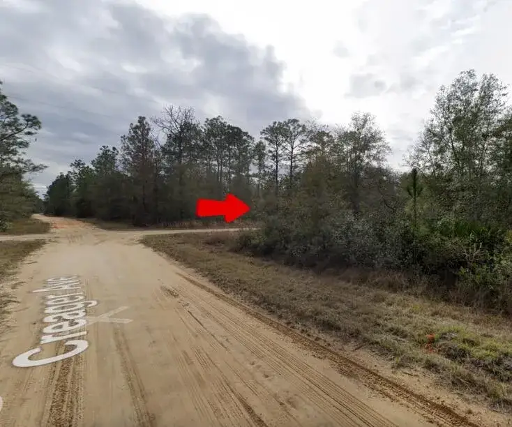 Land/Boat Docks for sale at 000 Creager Avenue, FL 32148