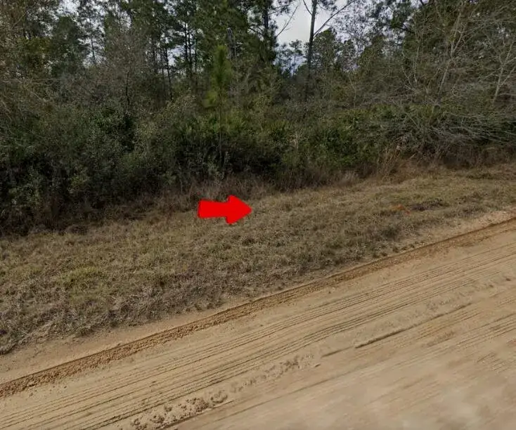 Land/Boat Docks for sale at 001 Creager, FL 32148