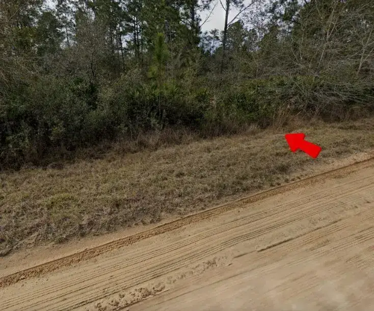 Land/Boat Docks for sale at 003 Creager Avenue, FL 32148