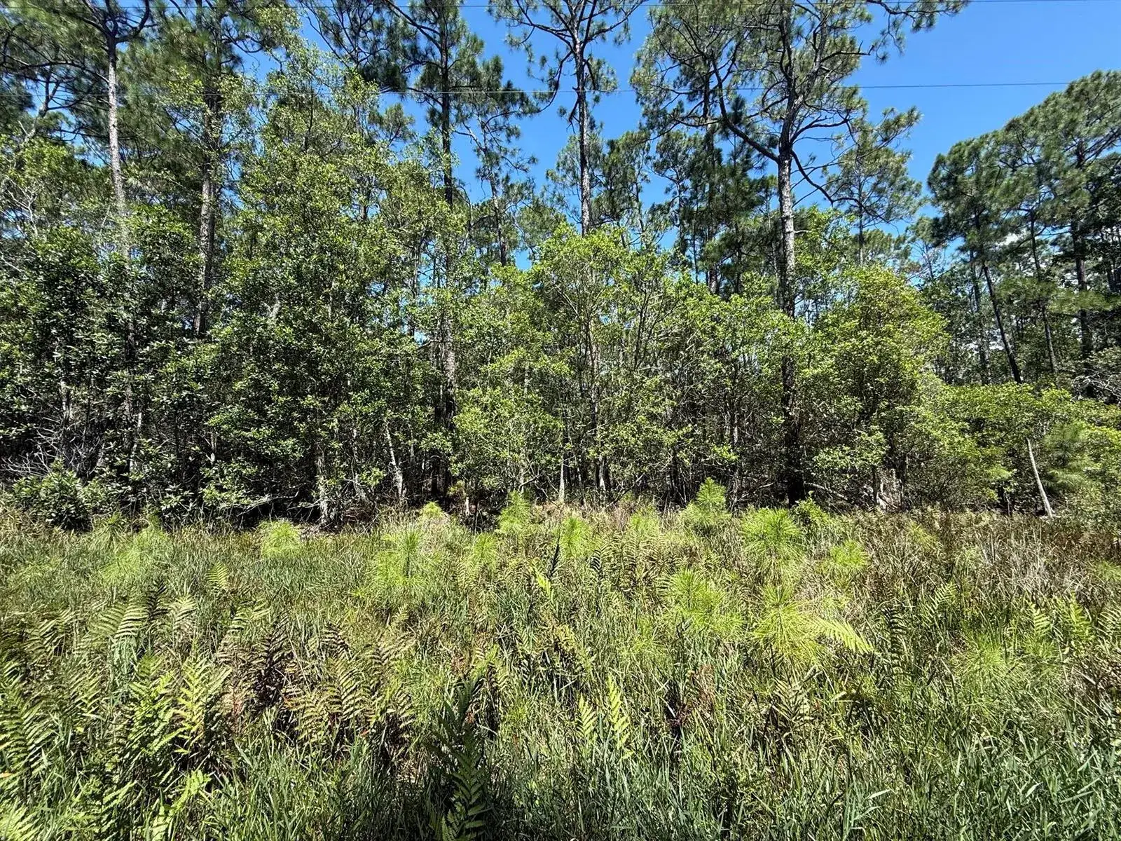 Land/Boat Docks for sale at 210 SE 2nd Street, FL 32139