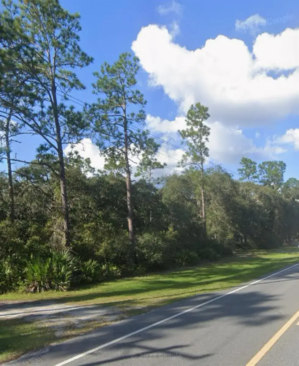 Commercial Land for sale at 0 NE 315 Hwy, FL 32134