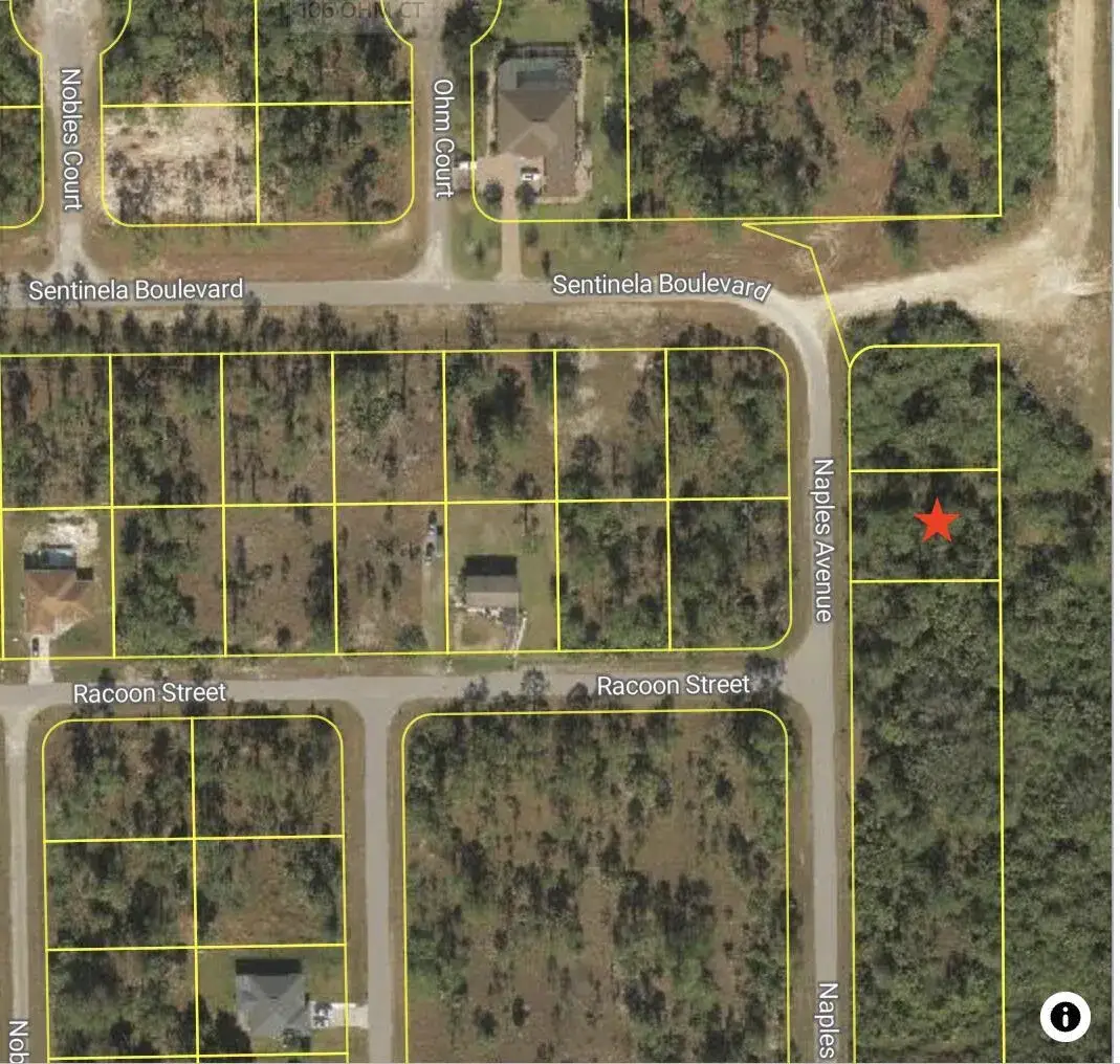 121 Naples Avenue S, Lehigh Acres FL 33974
