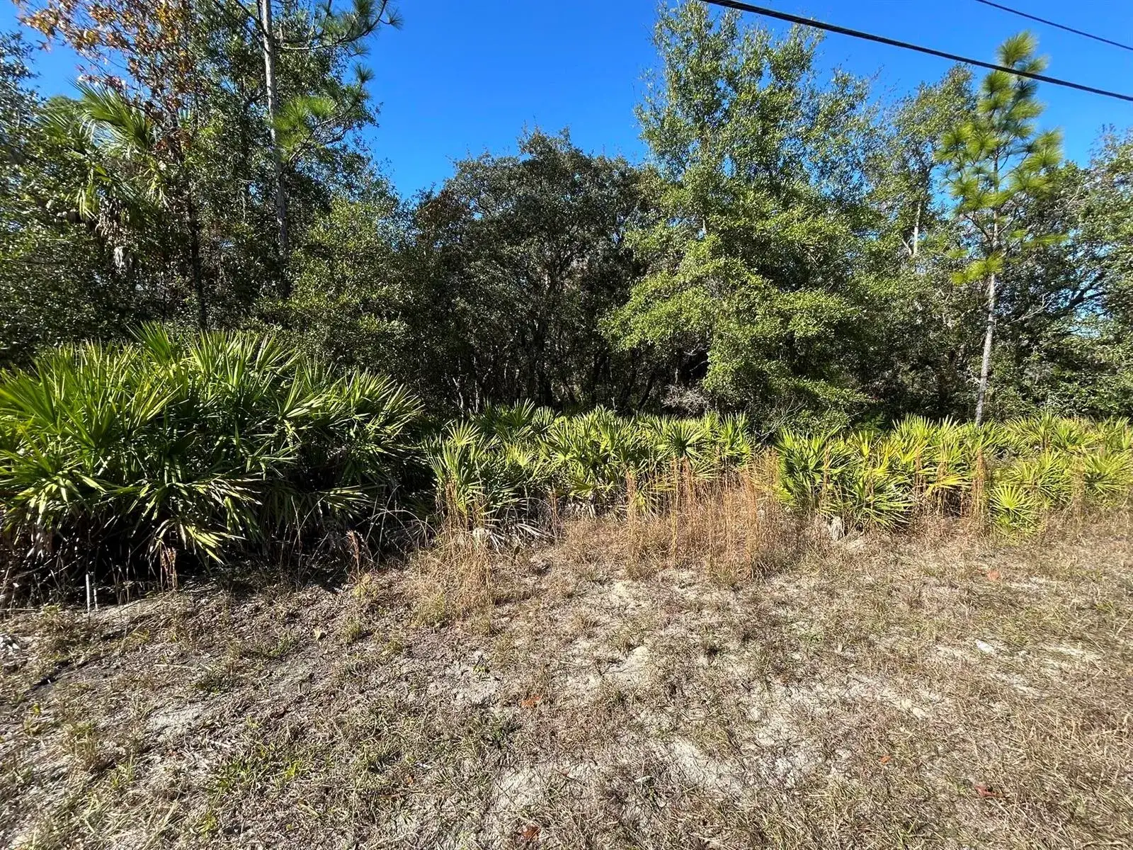 Land/Boat Docks for sale at 632 N Dunkenfield Avenue, FL 34429