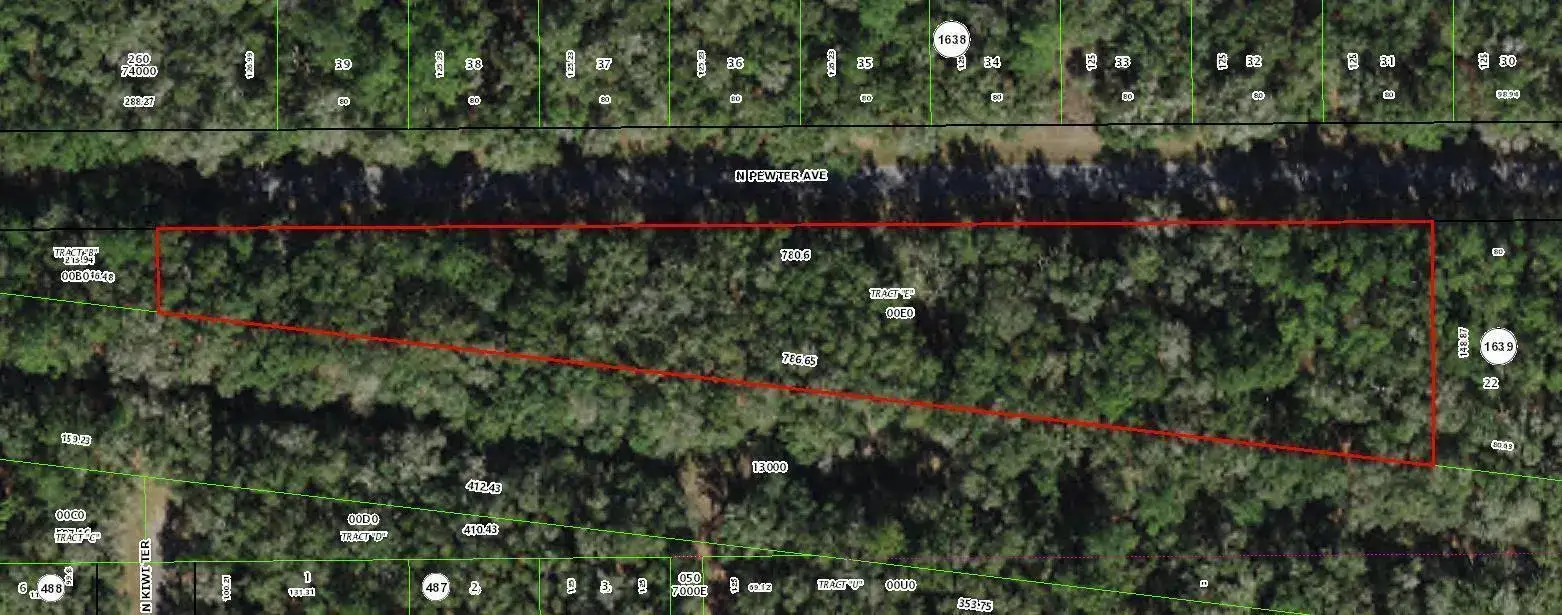 Land/Boat Docks for sale at 182 E Kingsdale Street, FL 34434
