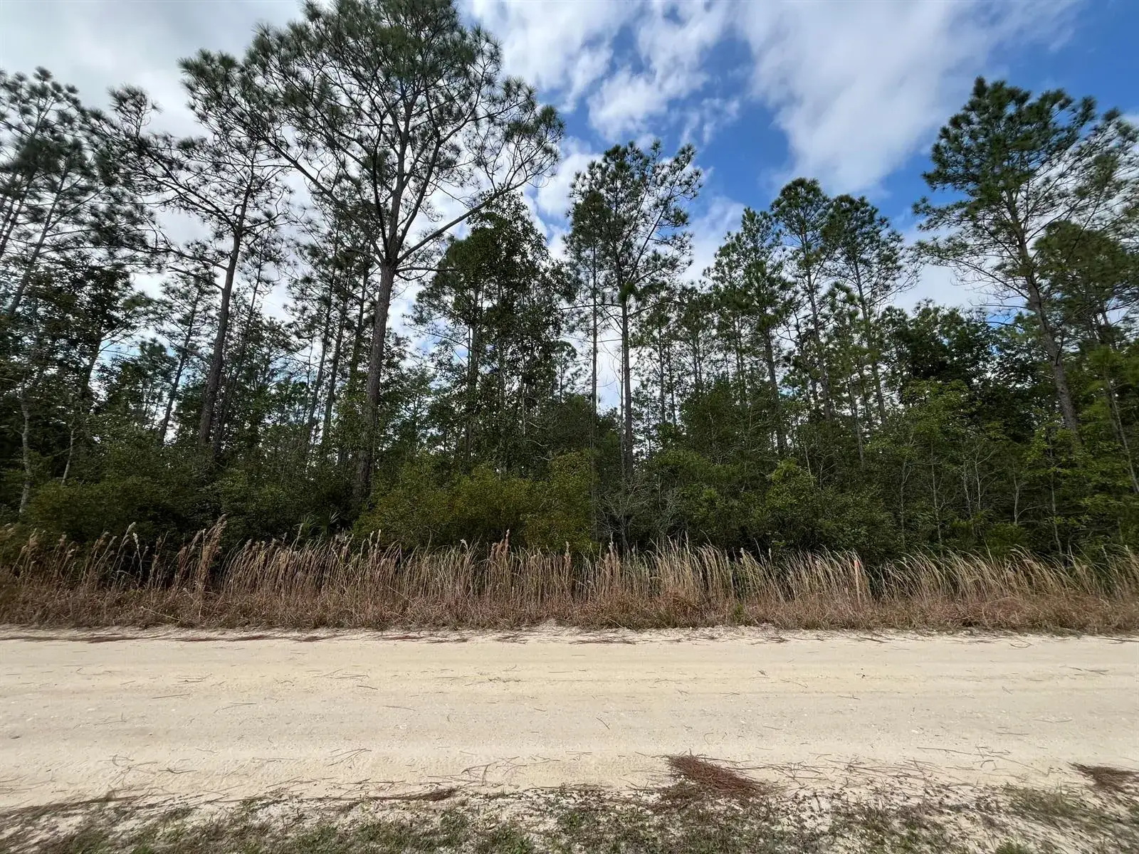 Land/Boat Docks for sale at 215 Royal Avenue, FL 32148