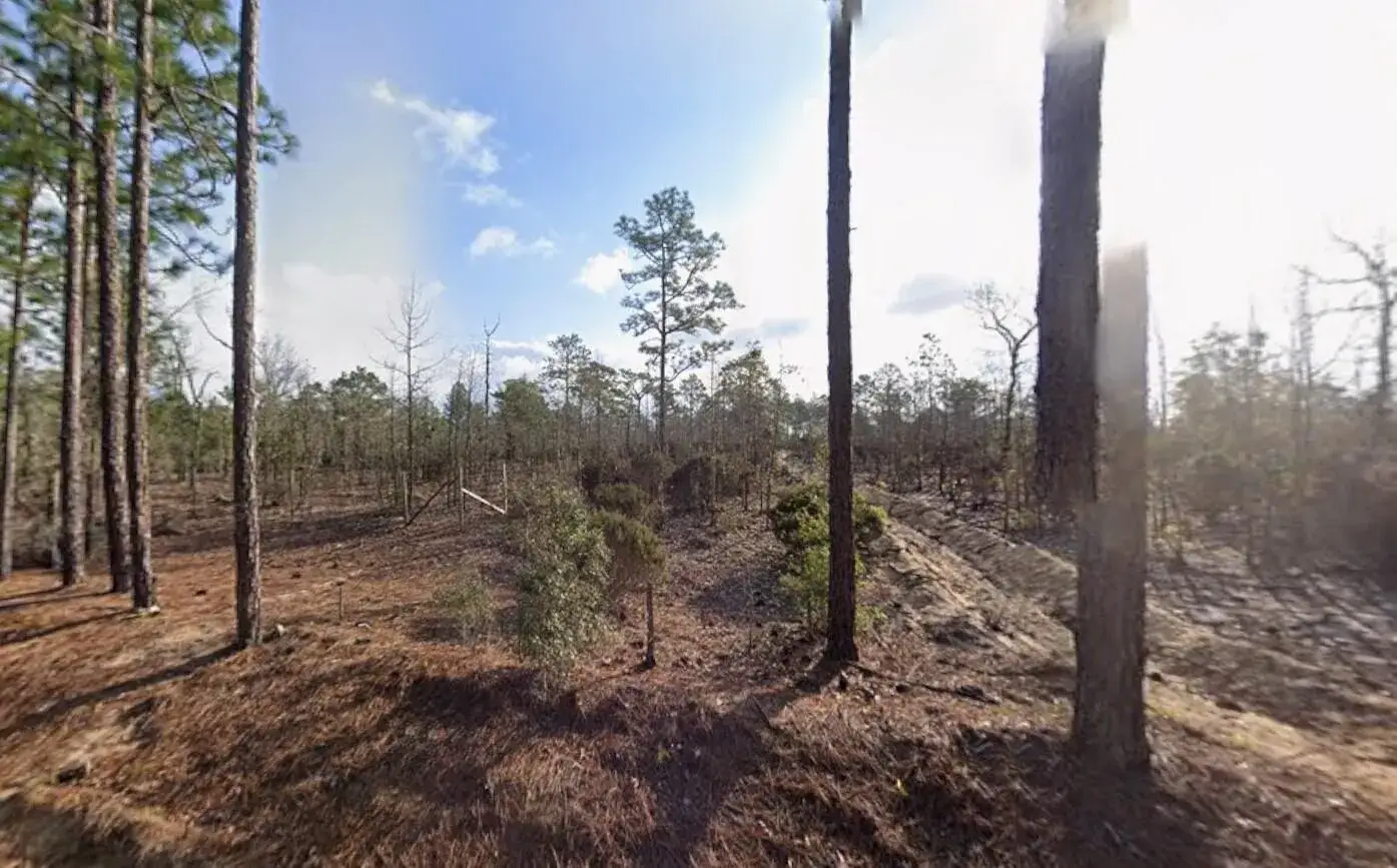 Land/Boat Docks for sale at 116 Tulip Avenue, FL 32148
