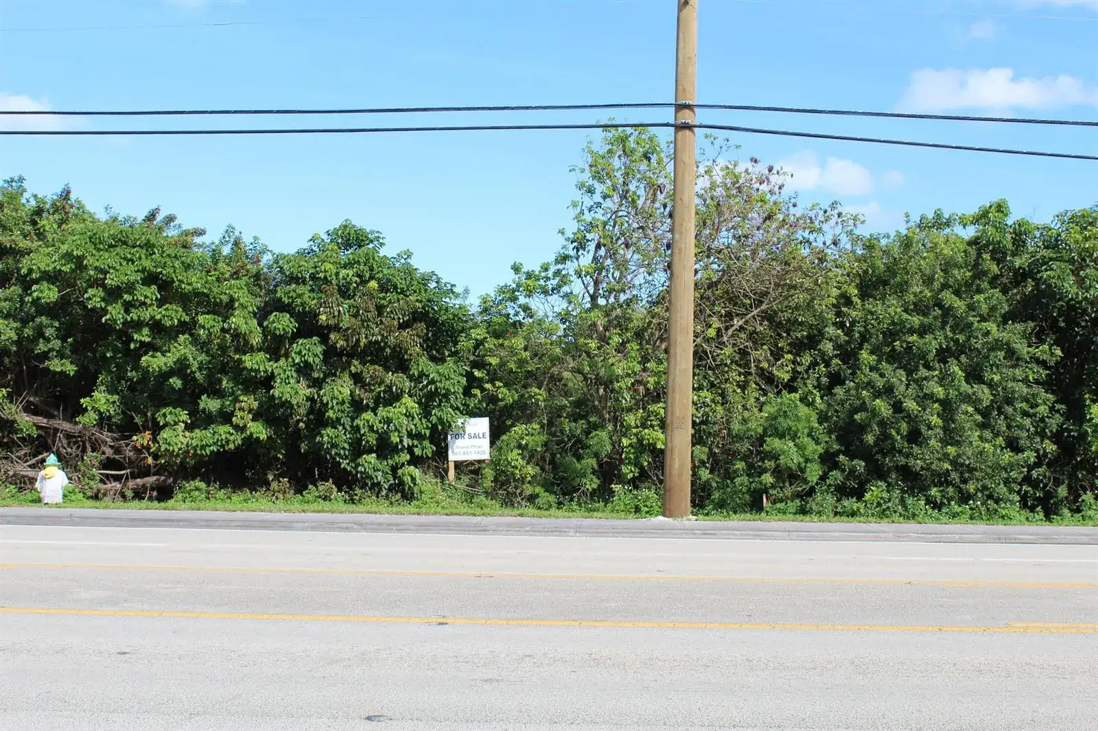 Commercial Land for sale at 00 Davie Road Road, Davie FL 33314