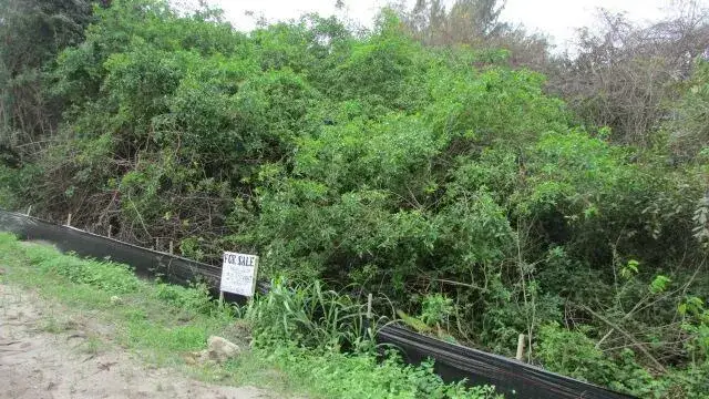 Land/Boat Docks for sale at 16750 SW Conners Highway, Okeechobee FL 34974