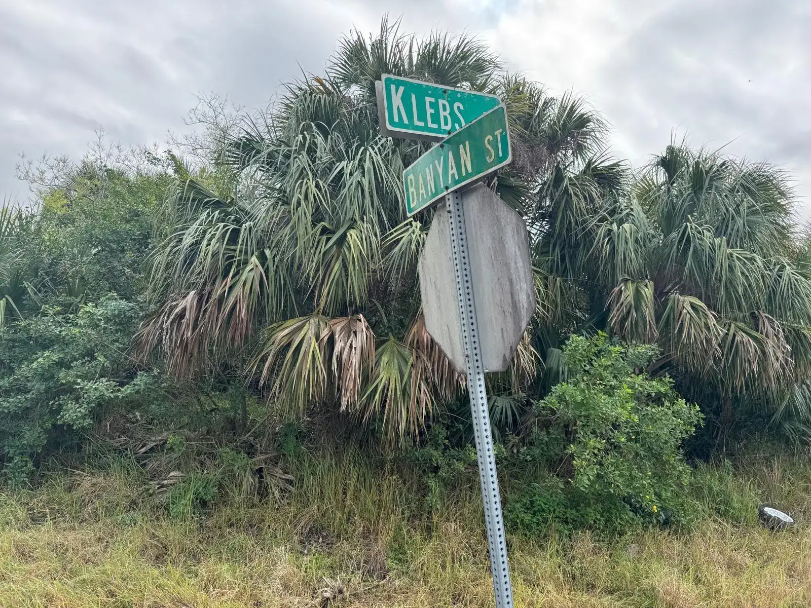 Land/Boat Docks for sale at 0000 Klebs Avenue SW, Palm Bay FL 32908