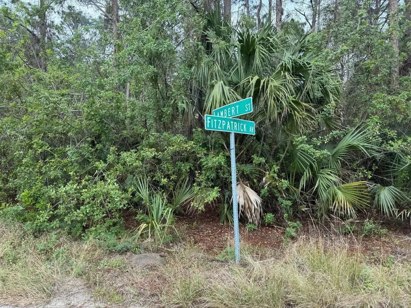 Land/Boat Docks for sale at 3395 Fitzpatrick Avenue SW, Palm Bay FL 32908