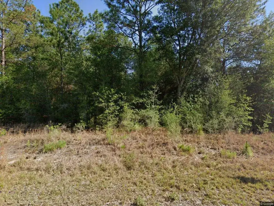 Land/Boat Docks for sale at 20313 SW Audubon Avenue, FL 34431