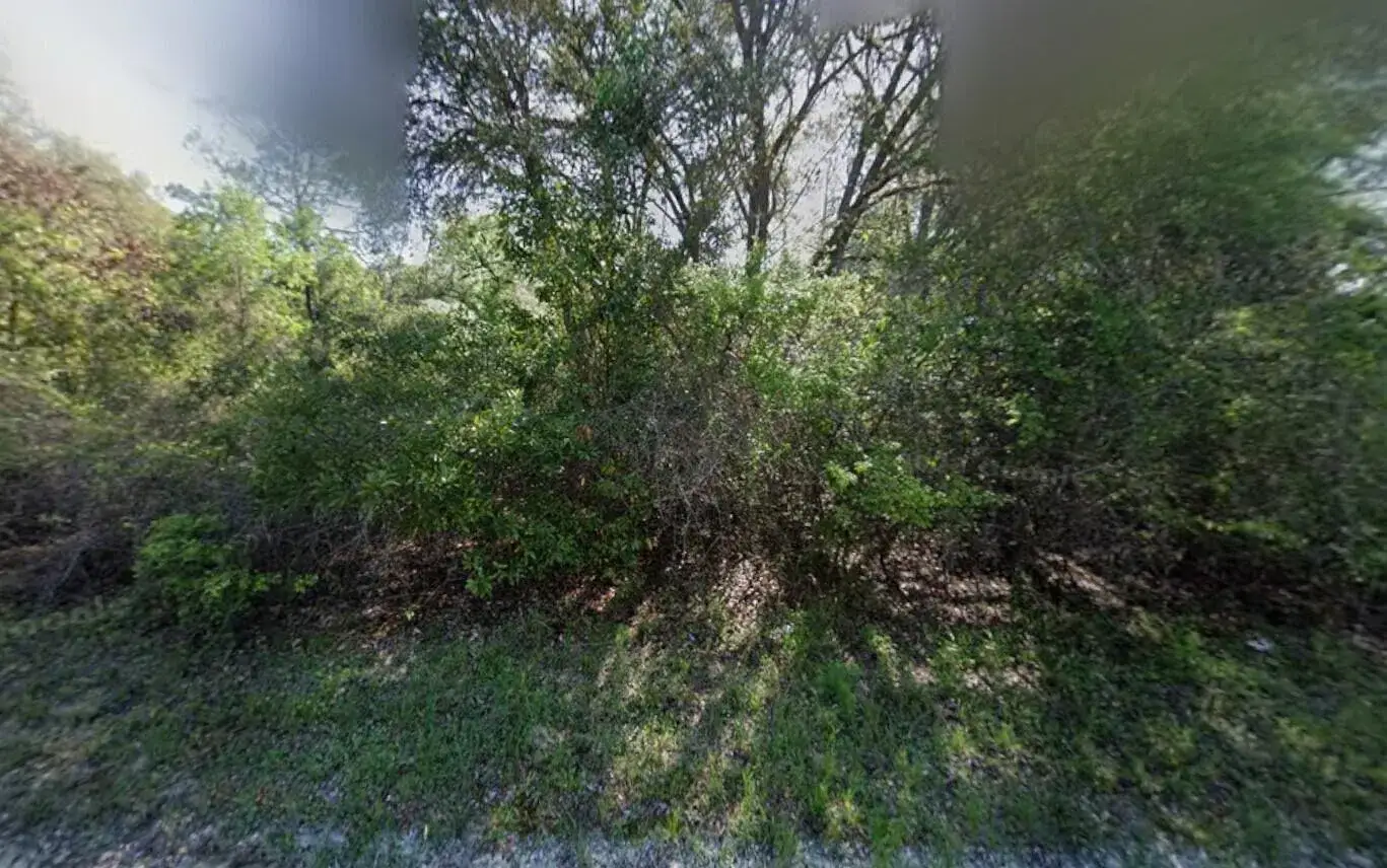 Land/Boat Docks for sale at Tbd NE 799th Street, FL 32680
