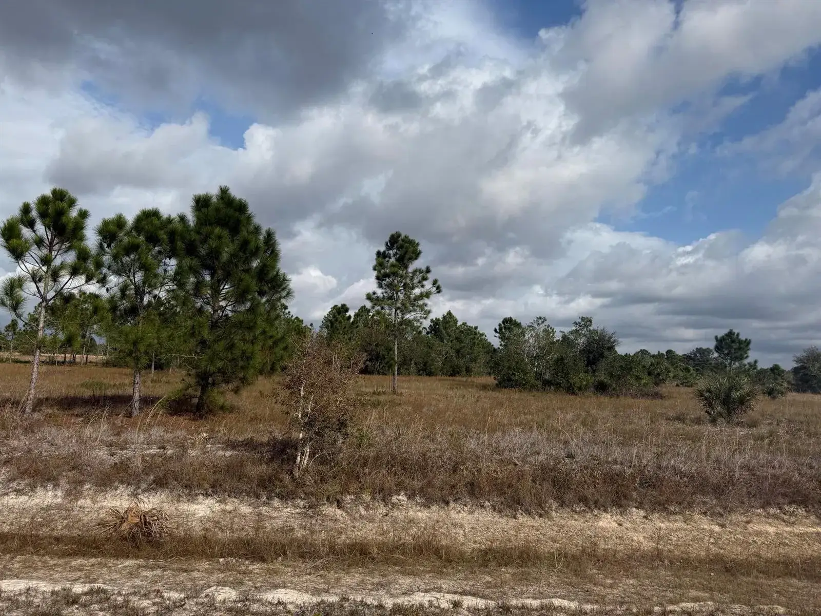 Land/Boat Docks for sale at 16375 NW 314th Street, Okeechobee FL 34972