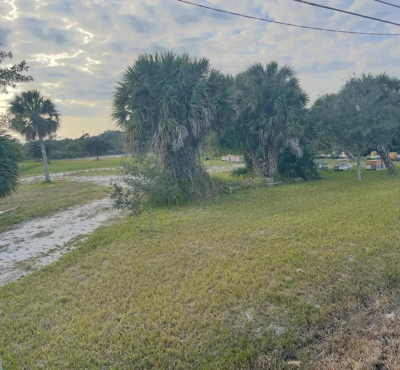 Commercial Sale for sale at 6440 Highway 1, Grant Valkaria FL 32949