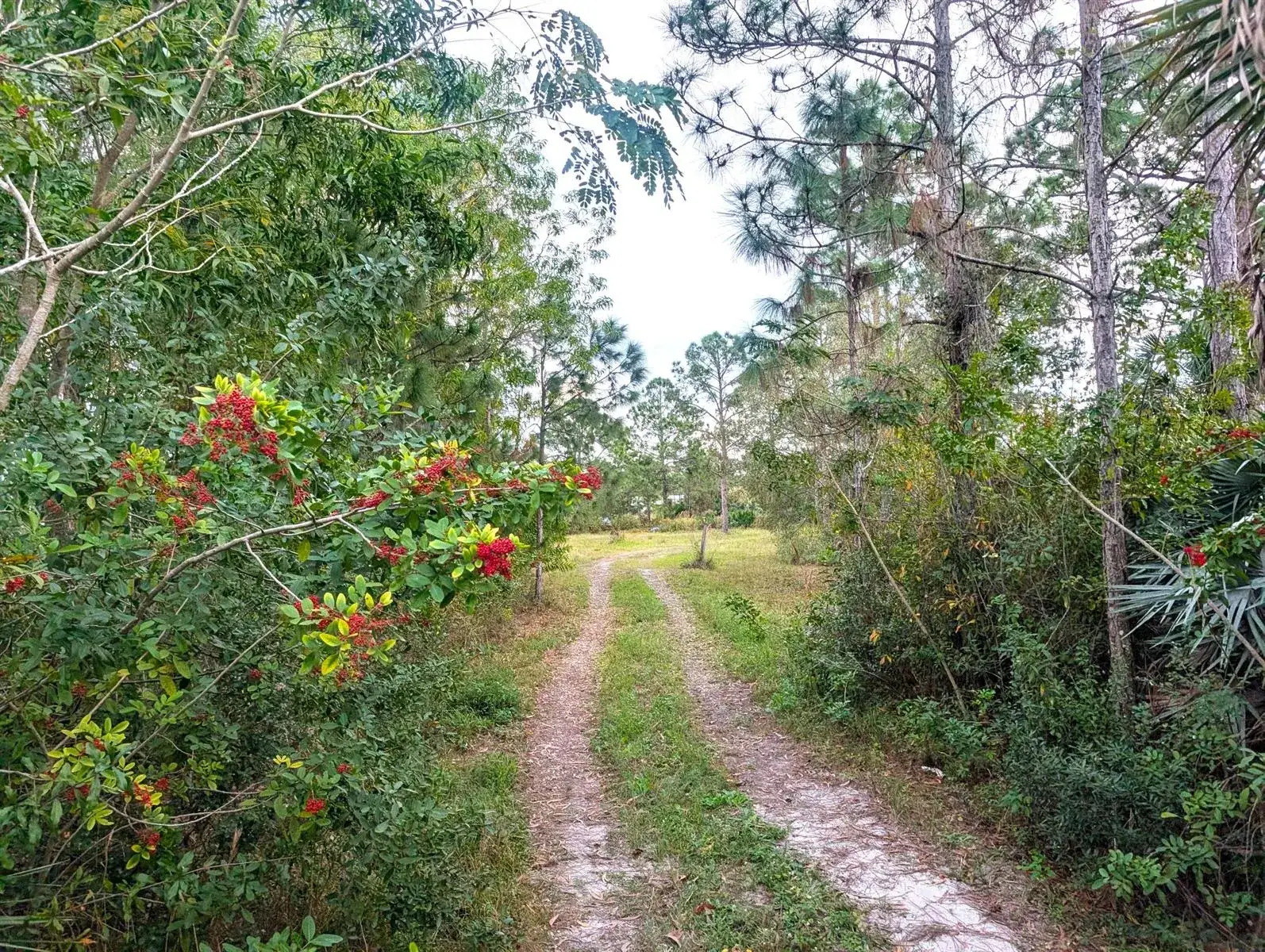 Land/Boat Docks for sale at 8590 130th Avenue, Fellsmere FL 32948
