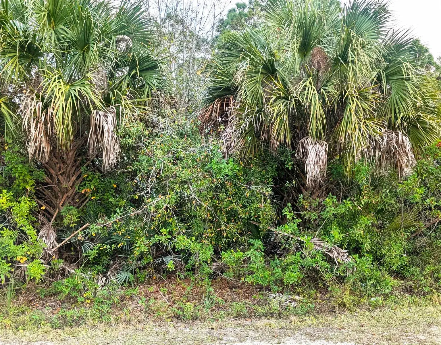 Land/Boat Docks for sale at 12885 86th Street, Fellsmere FL 32948