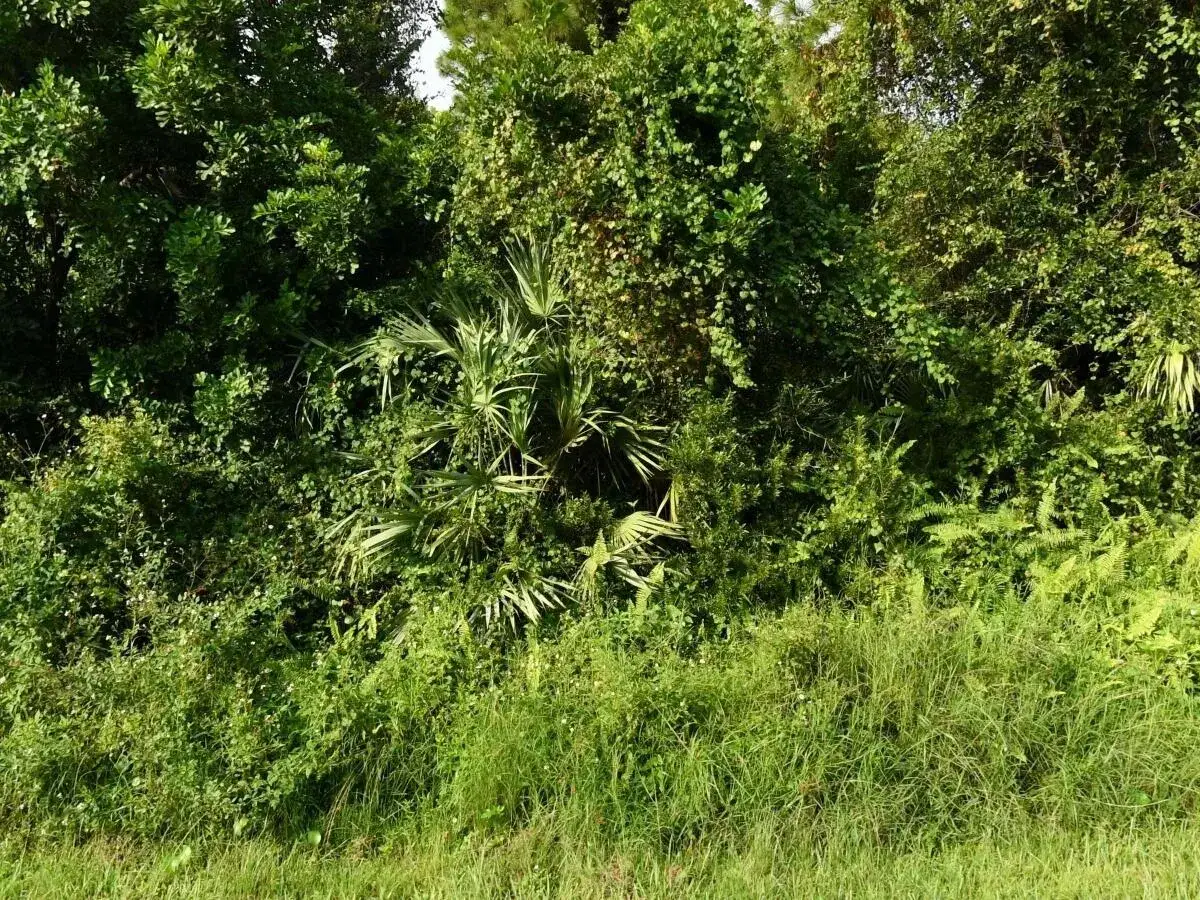 Land/Boat Docks for sale at 2338 SW Fern Circle, Port St. Lucie FL 34953