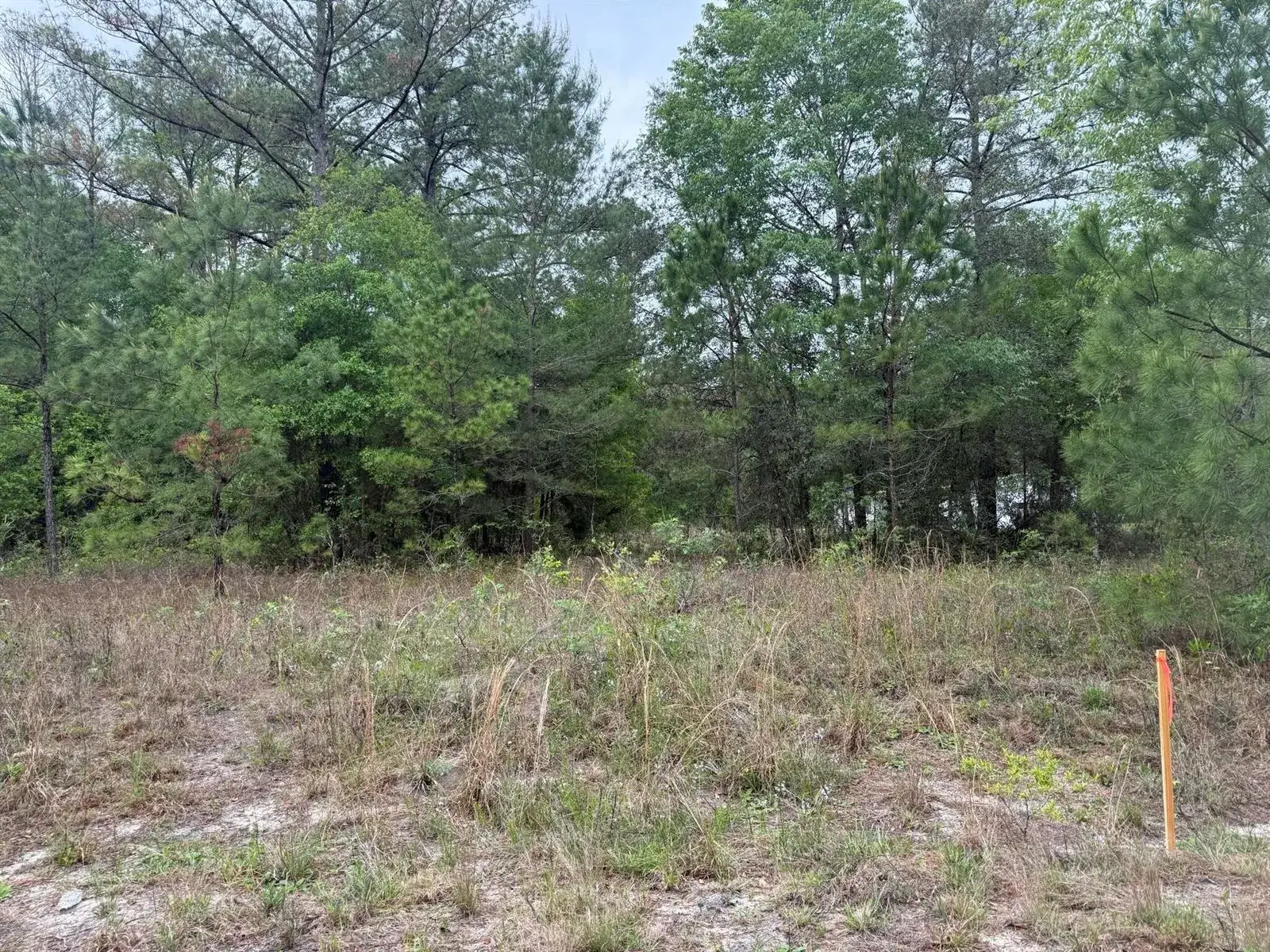 Land/Boat Docks for sale at Tbd Maltas Avenue, FL 32148