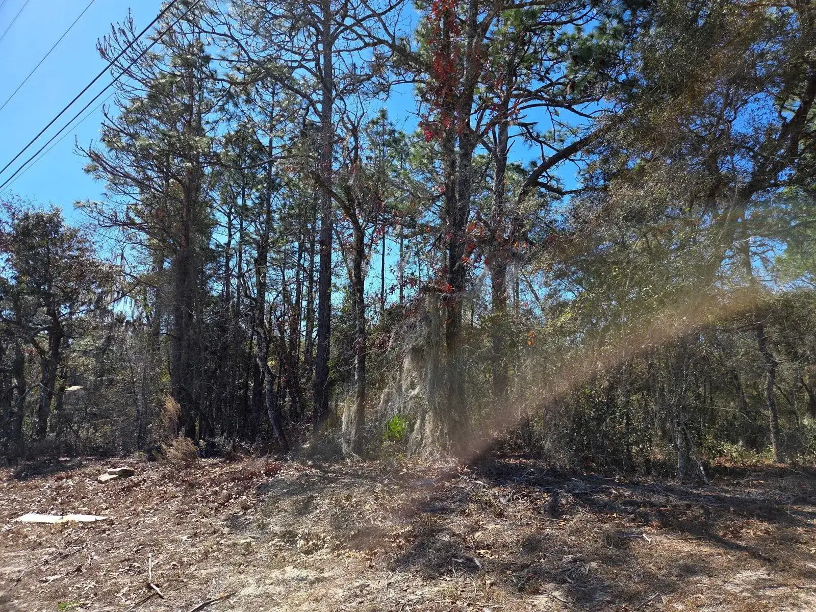Land/Boat Docks for sale at 8 Marion Oaks Lane, FL 34473