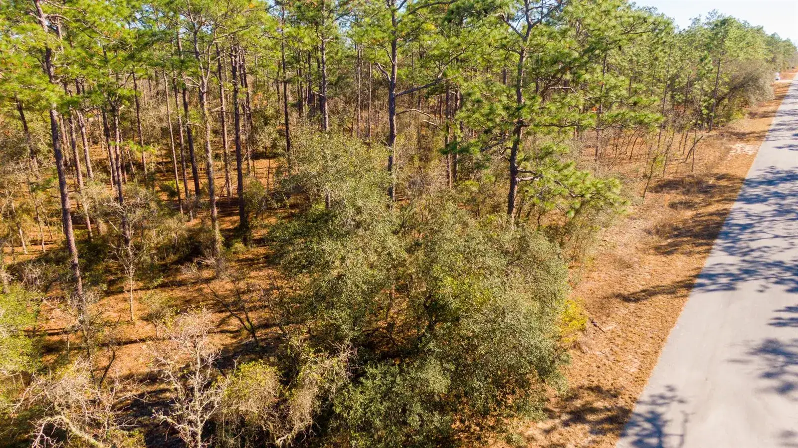 Land/Boat Docks for sale at 0000 SW Commodore Road, FL 34431
