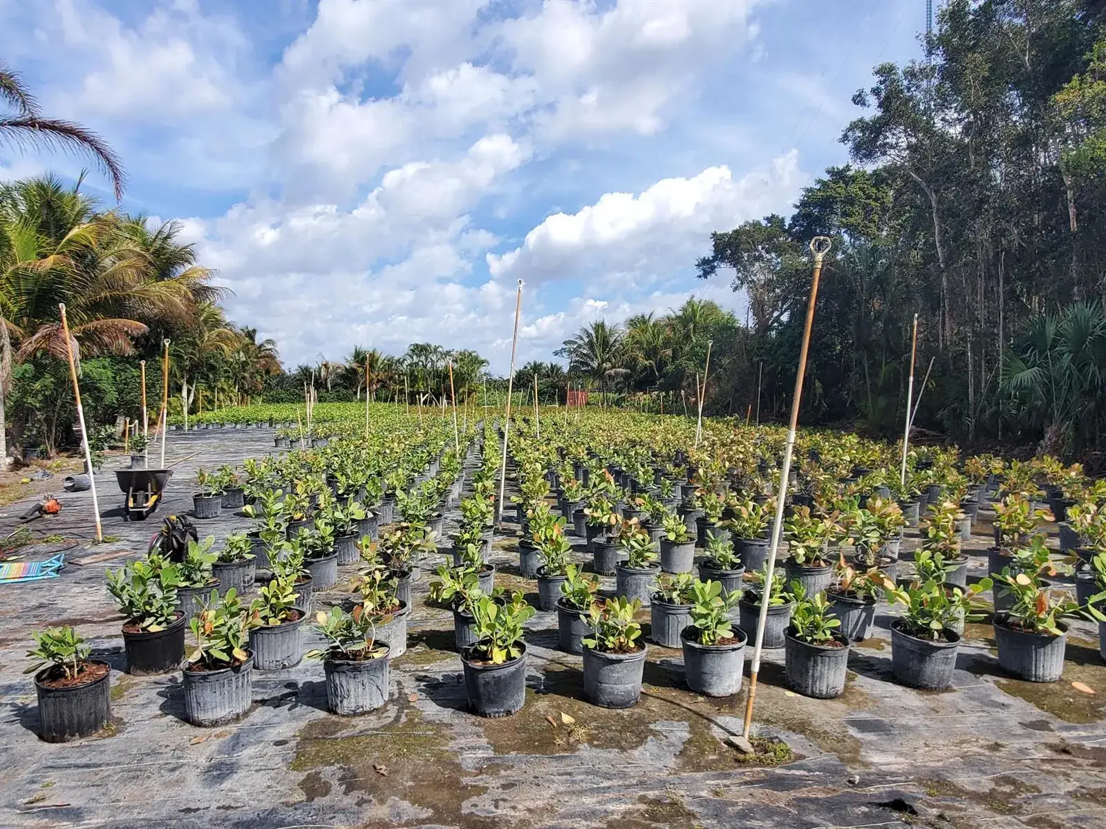 Business Opportunity for sale at 10655 61 Street S, Wellington FL 33449