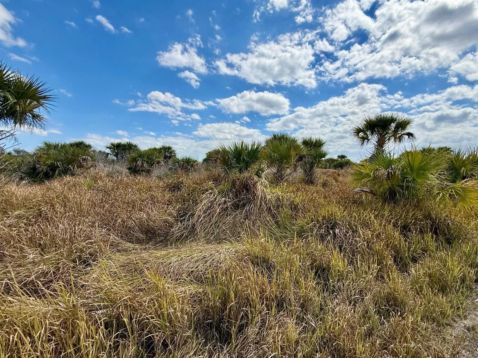 Land/Boat Docks for sale at 1909 Comer Terrace SW, Palm Bay FL 32908