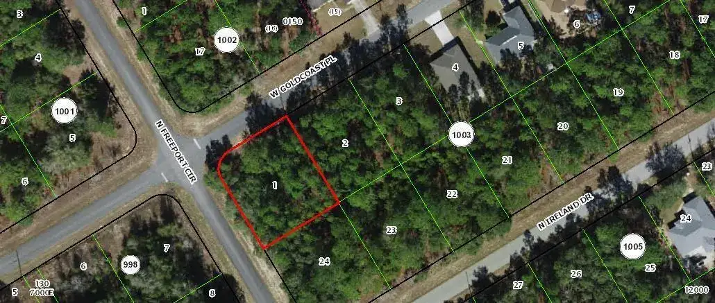 Land/Boat Docks for sale at 156 W Goldcoast Place, FL 34434