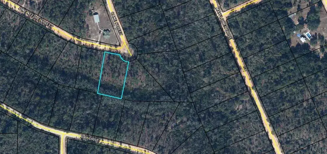 Land/Boat Docks for sale at Tbd Pine Needle Street, FL 32448