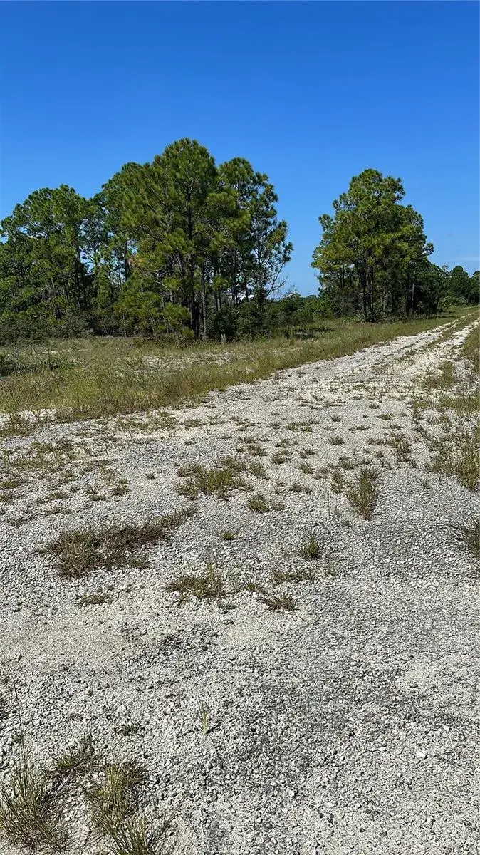 Land/Boat Docks for sale at 341 Moon River Ave, Lake Placid FL 33852
