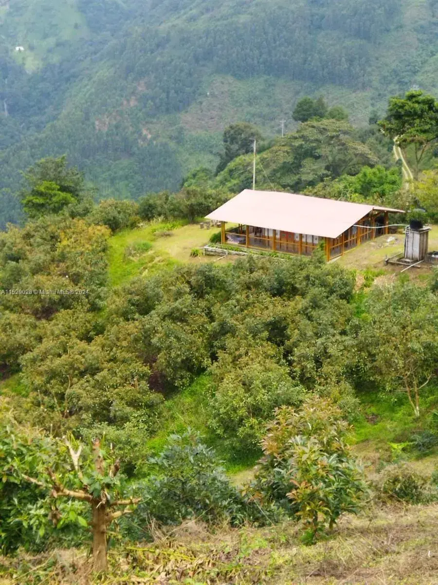 Business Opportunity for sale at Armenia-Quindio, FL